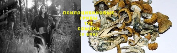 первитин Лиски