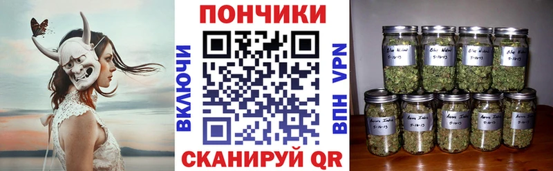 продажа наркотиков  Хвалынск  МАРИХУАНА сатива 